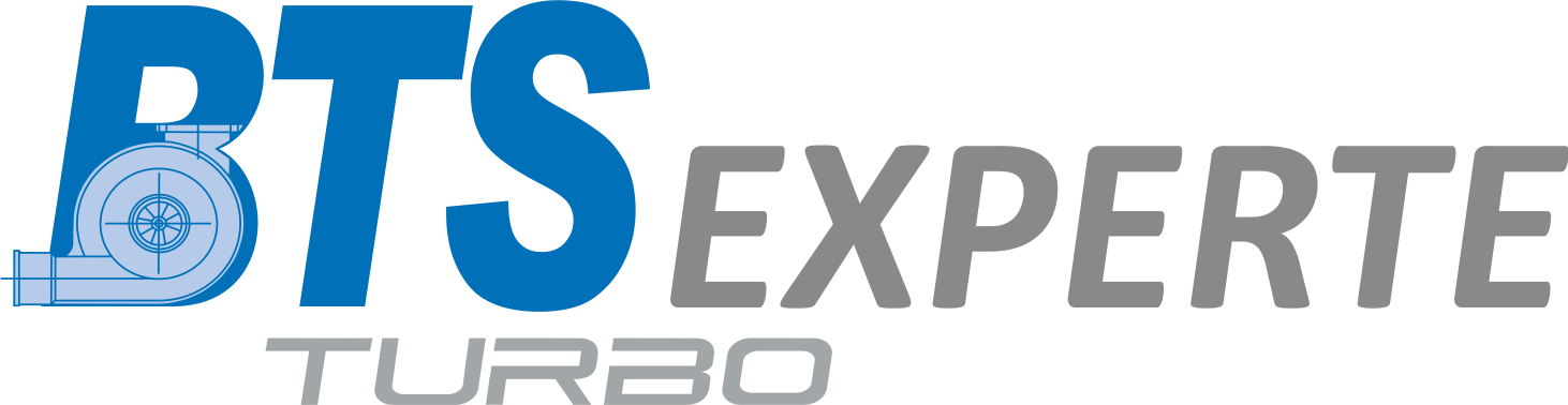 BTS Logo